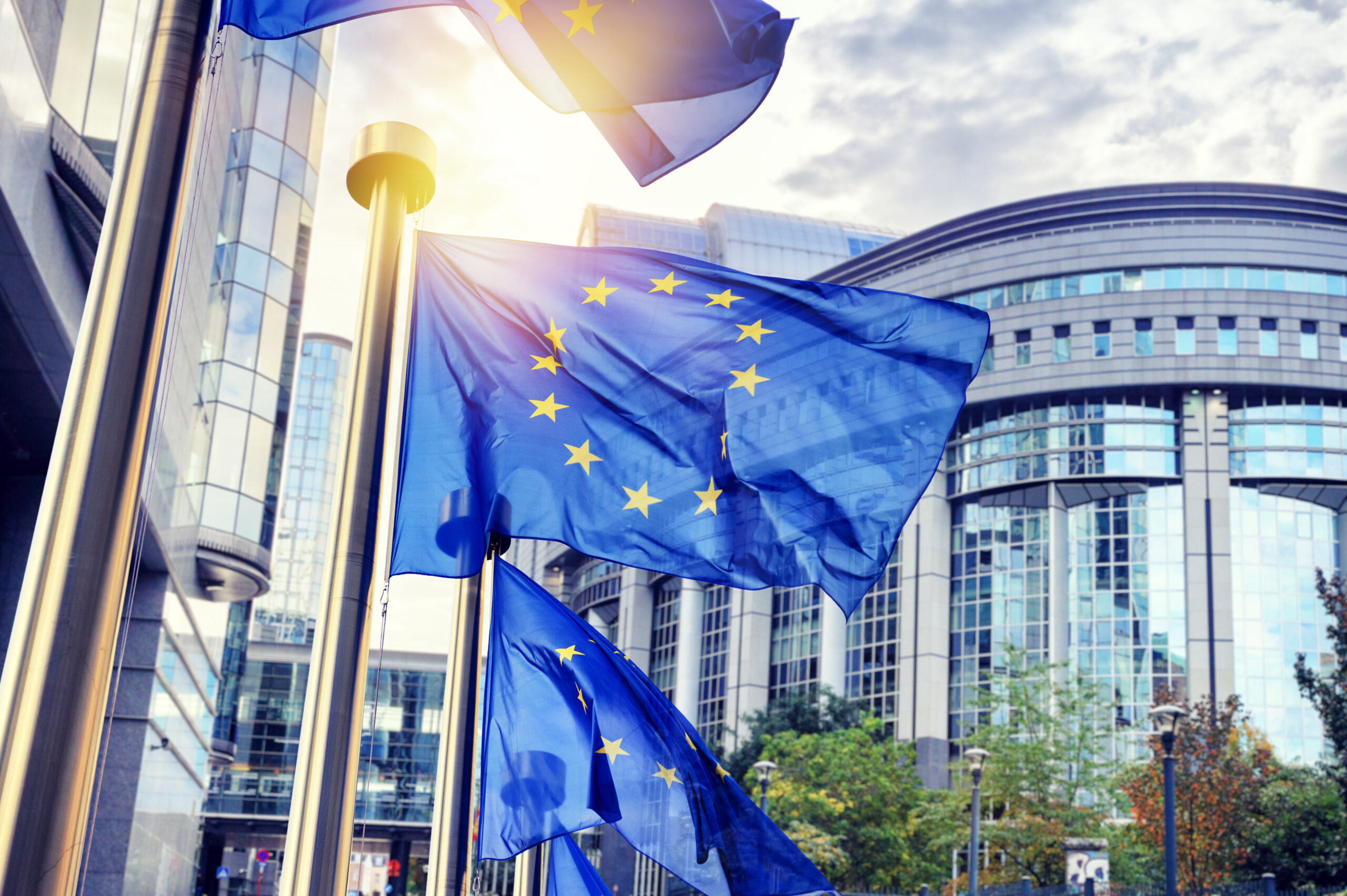 The Impact of the Capital Requirements Directive VI (CRDVI)